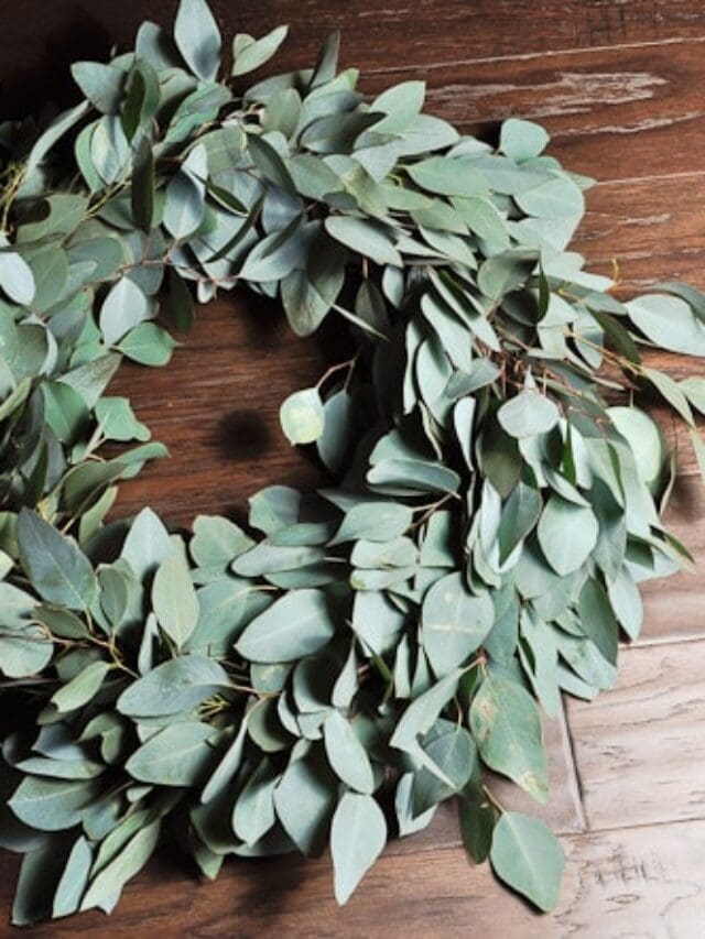 cropped-DIY-Eucalyptus-Wreath-Tutorial-45.jpg