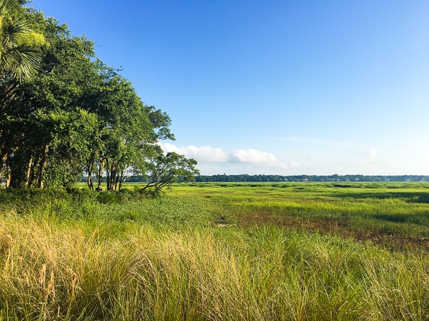 I love Hilton Head Island! These pictures of Disney's Hilton Head Island Resort are gorgeous!