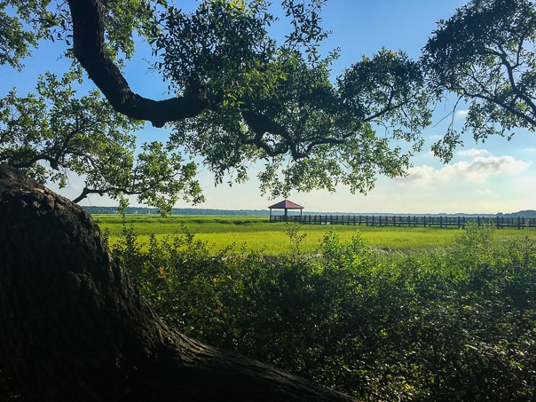 I love Hilton Head Island! These pictures of Disney's Hilton Head Island Resort are gorgeous!