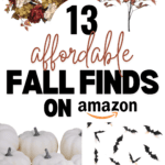 A collage image titled "13 Affordable Fall Finds on Amazon," featuring a beautiful fall floral arrangement with red and white flowers, alongside red and brown leaves, white pumpkins, black bat decorations, and orange throw pillows. The website URL "www.christeneholderhome.com" is at the bottom.