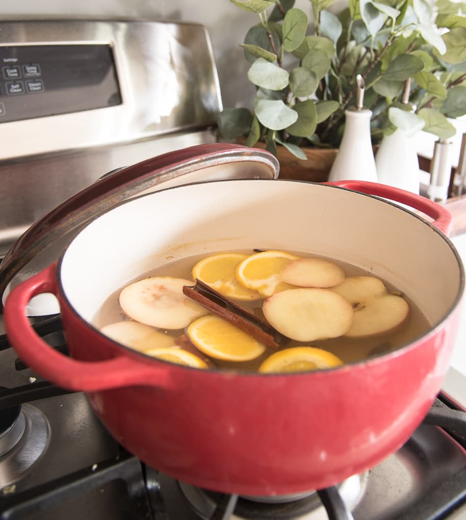 Best Fall Simmer Pot Recipes to Make Your Home Smell Amazing! - White and  Woodgrain