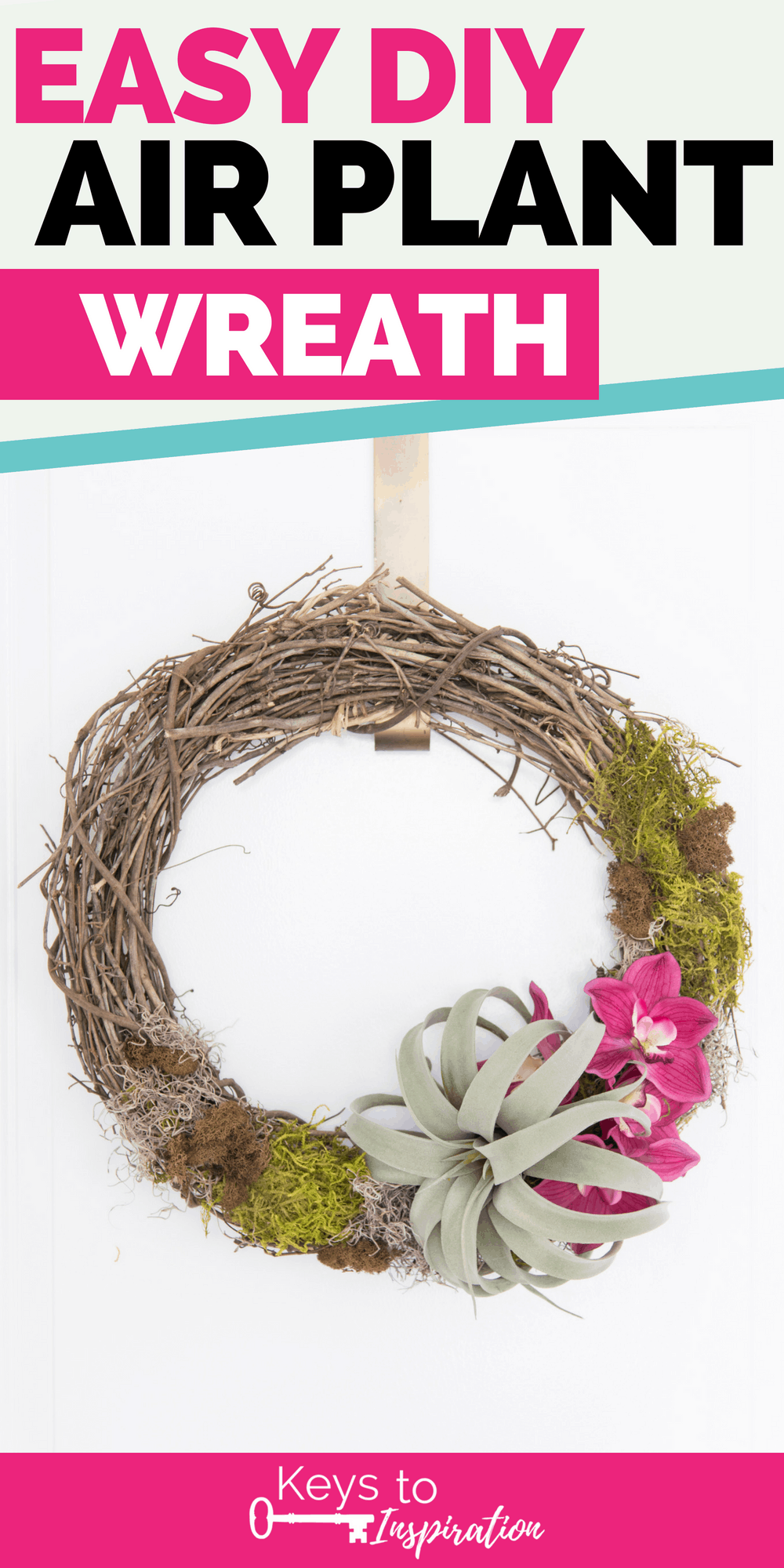 Looking for an easy craft project? You’ll love this easy DIY air plant wreath! This project is really simple but looks amazing once it’s finished. It’s a perfect wreath for summer. 