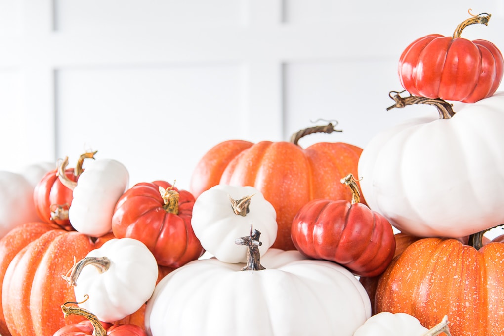 pile of orange and white pumpkins