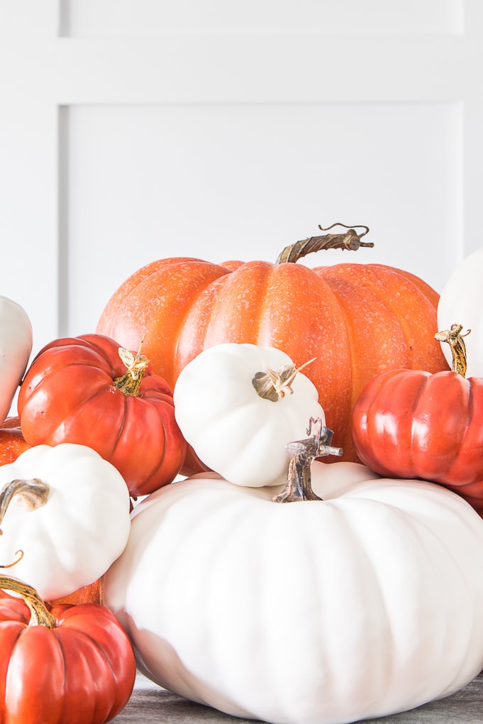 close up of white and orange pumpkins