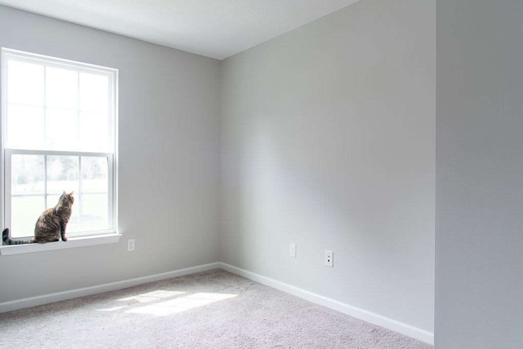 empty room with gray paint and a cat in the window valspar tempered gray