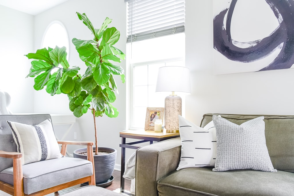 fiddle leaf fig tree next to couch on the left