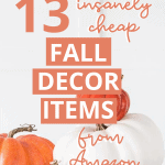 A promotional image with text that reads, "13 Insanely Cheap Fall Decor Items From Amazon." The background features a collection of small orange and white pumpkins. The website "keystoinspiration.com" is listed at the bottom.