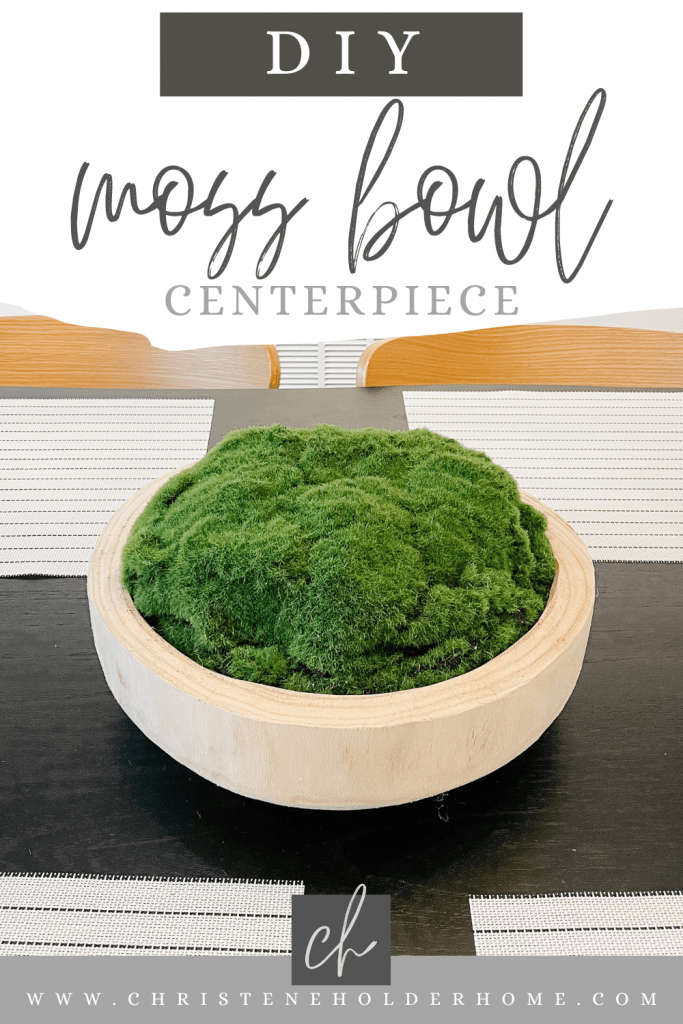 Round Cement Moss Bowl