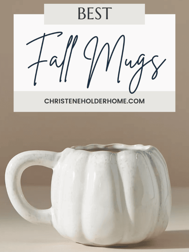 Best Fall Mugs